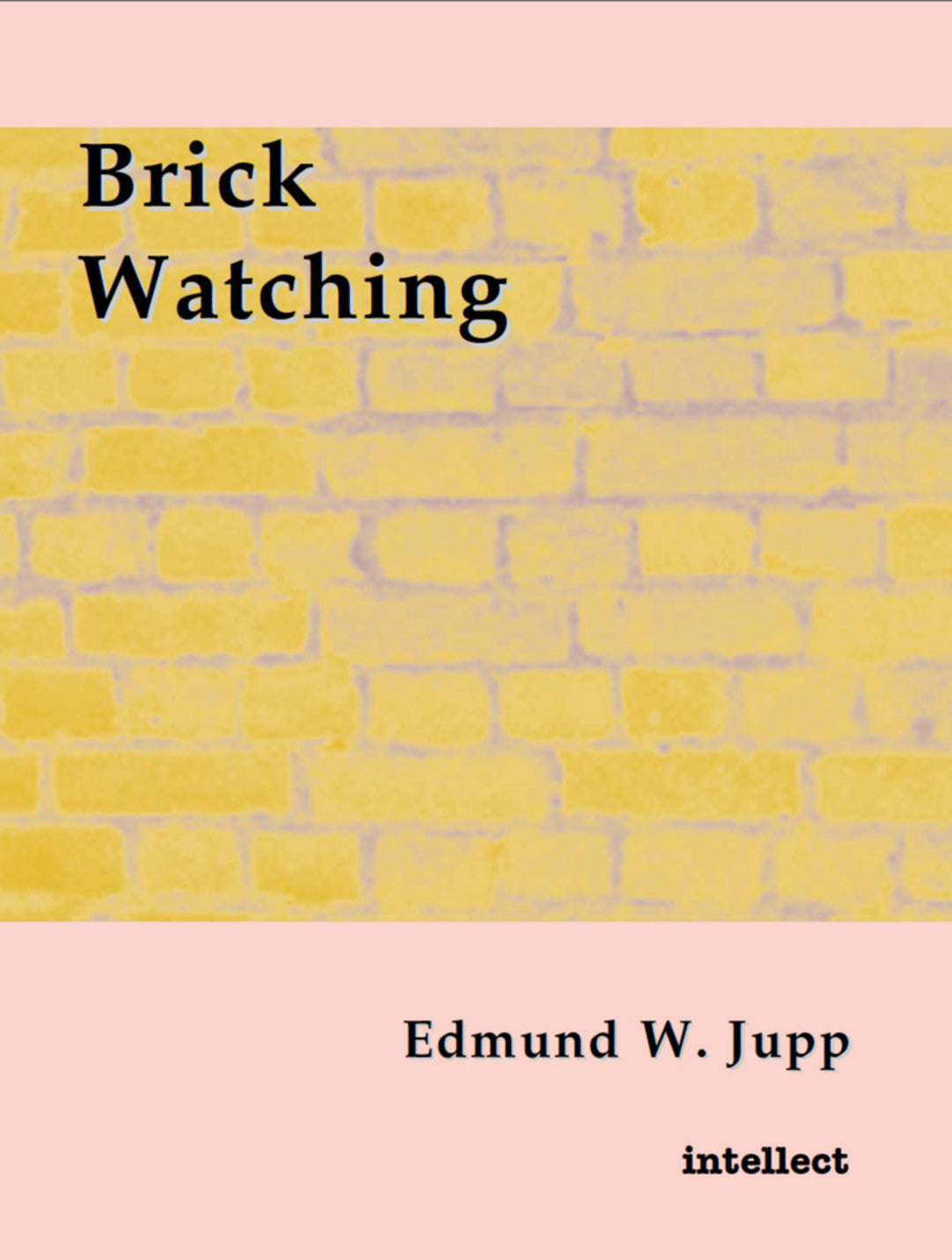 Cover image for Brick Watching ISBN 9781841508337