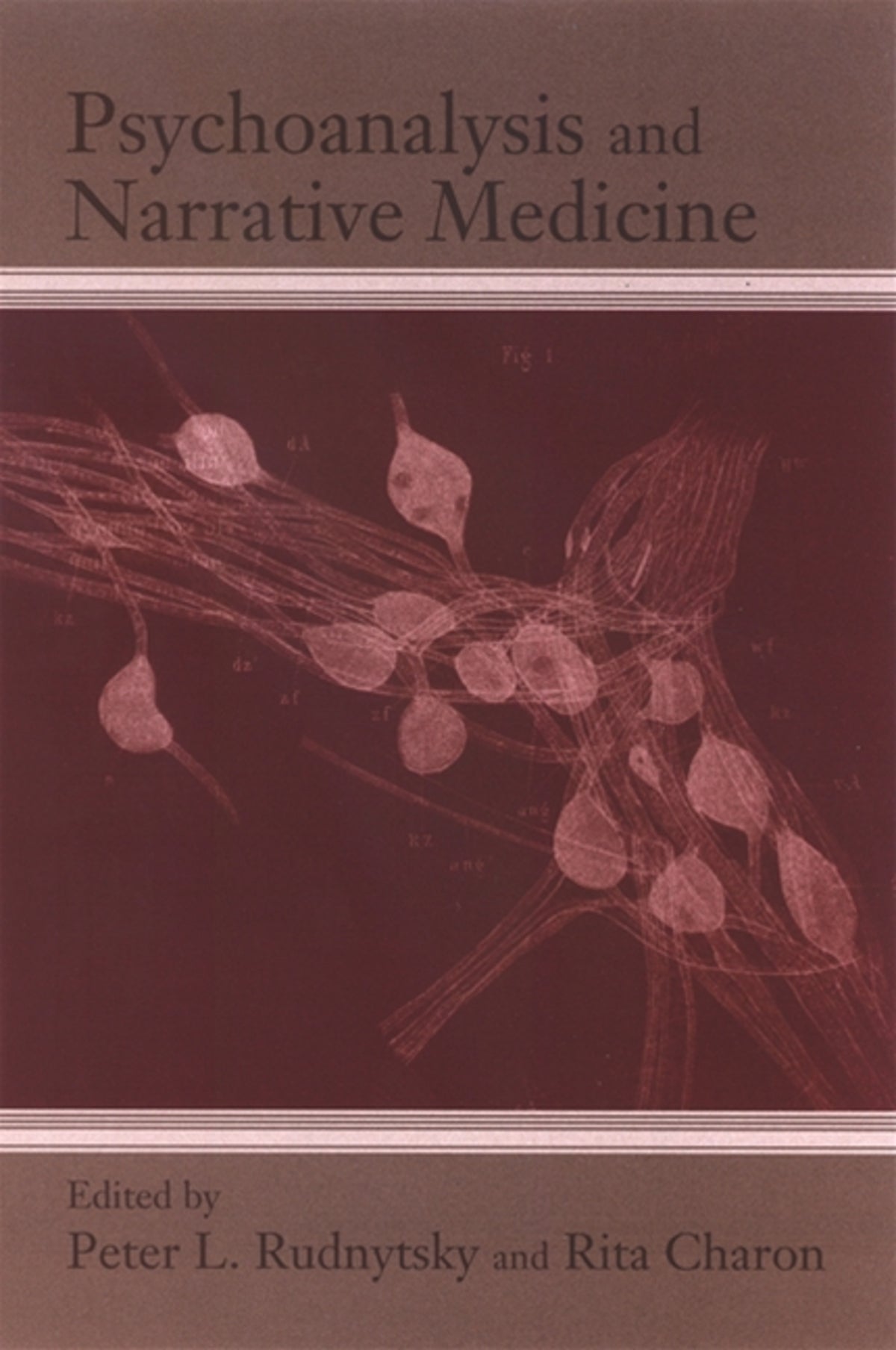 Cover image for Psychoanalysis and Narrative Medicine ISBN 9780791473511