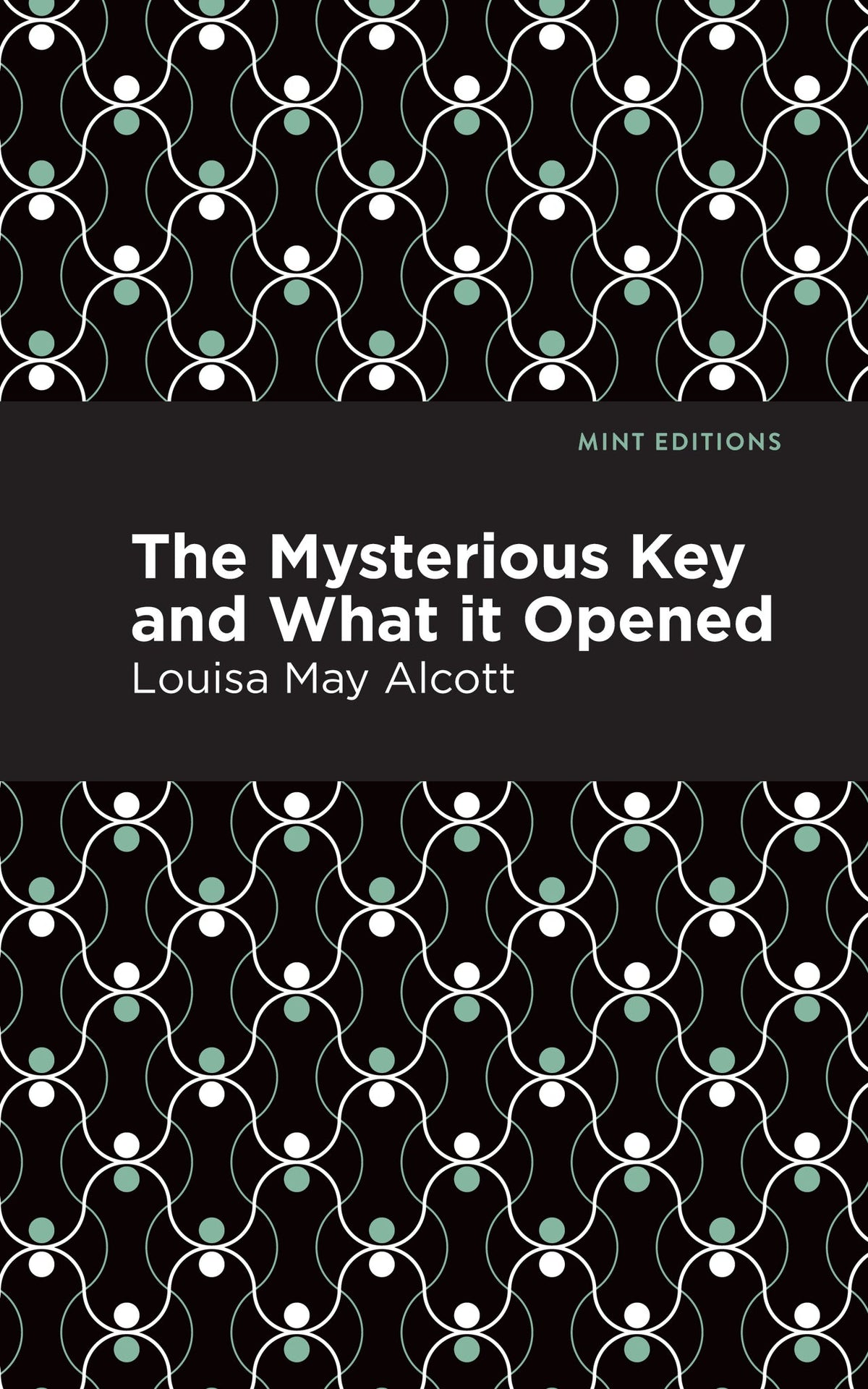 Cover image for The Mysterious Key and What it Opened ISBN 9798888973653