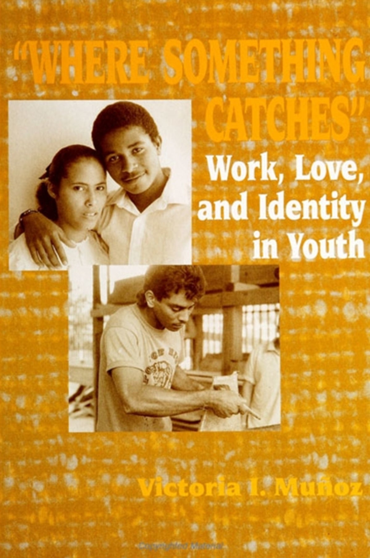 Cover image for Where "Something Catches" ISBN 9780791426869