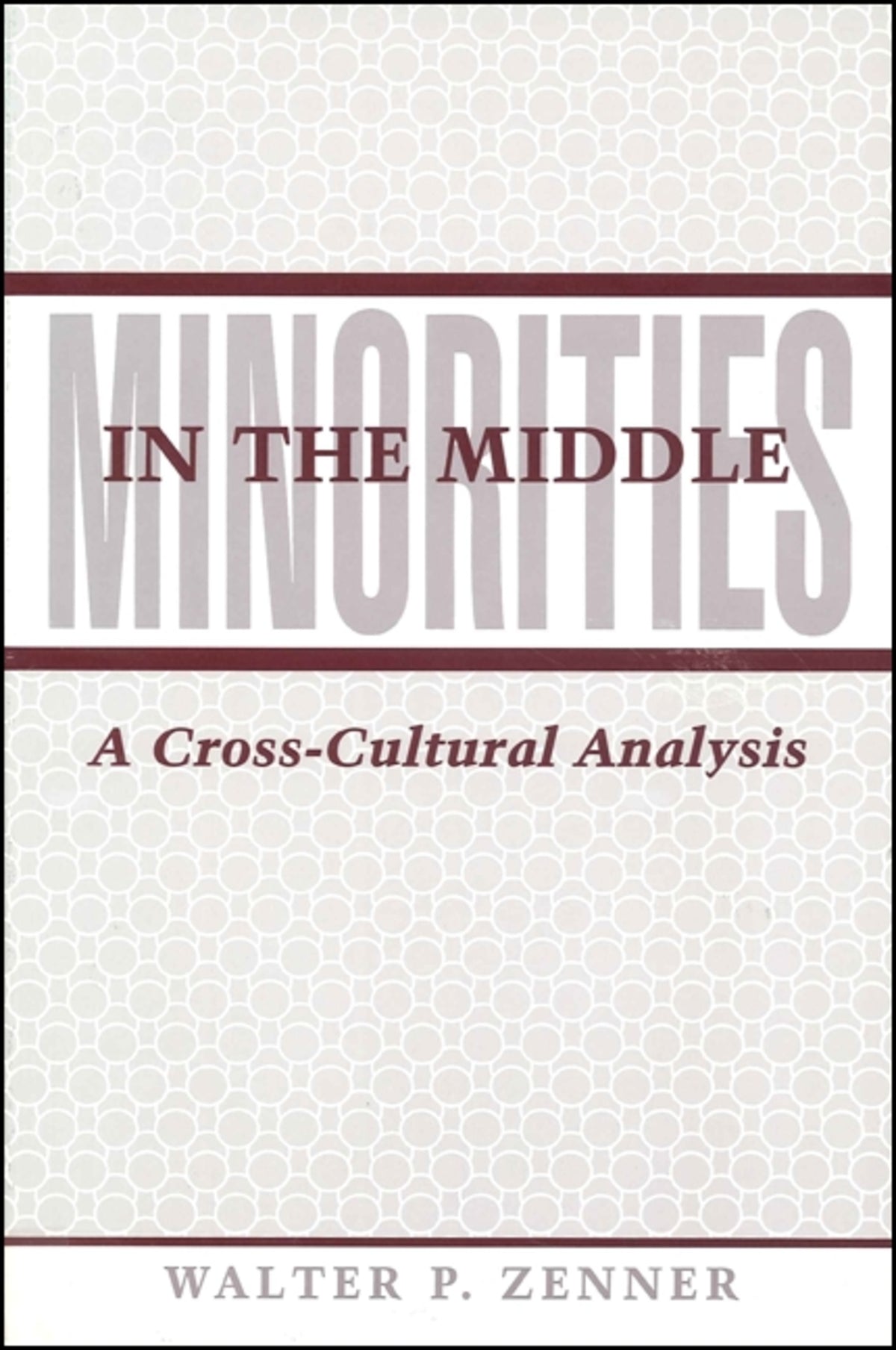 Cover image for Minorities in the Middle ISBN 9780791406427
