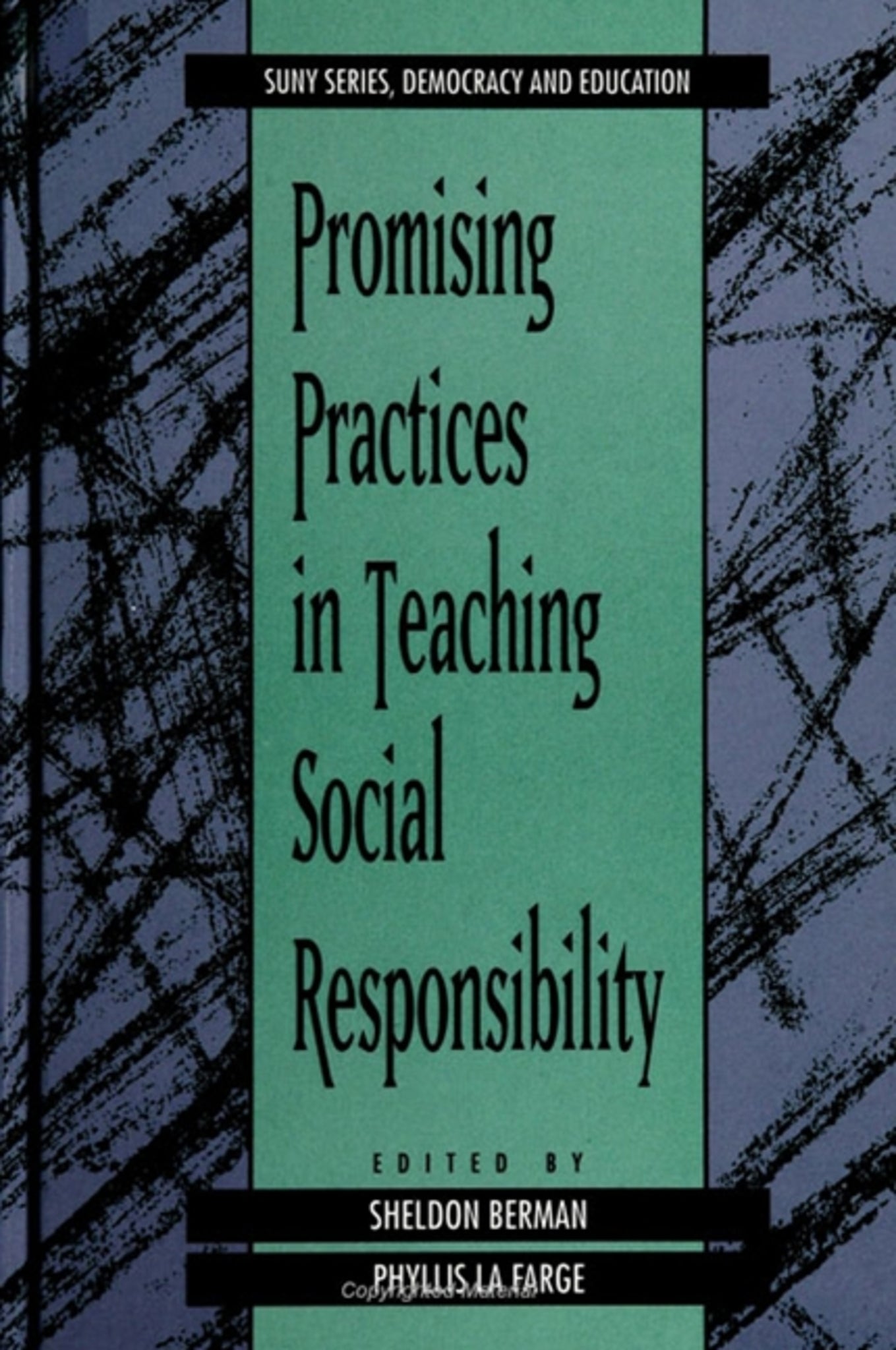Cover image for Promising Practices in Teaching Social Responsibility ISBN 9780791413982
