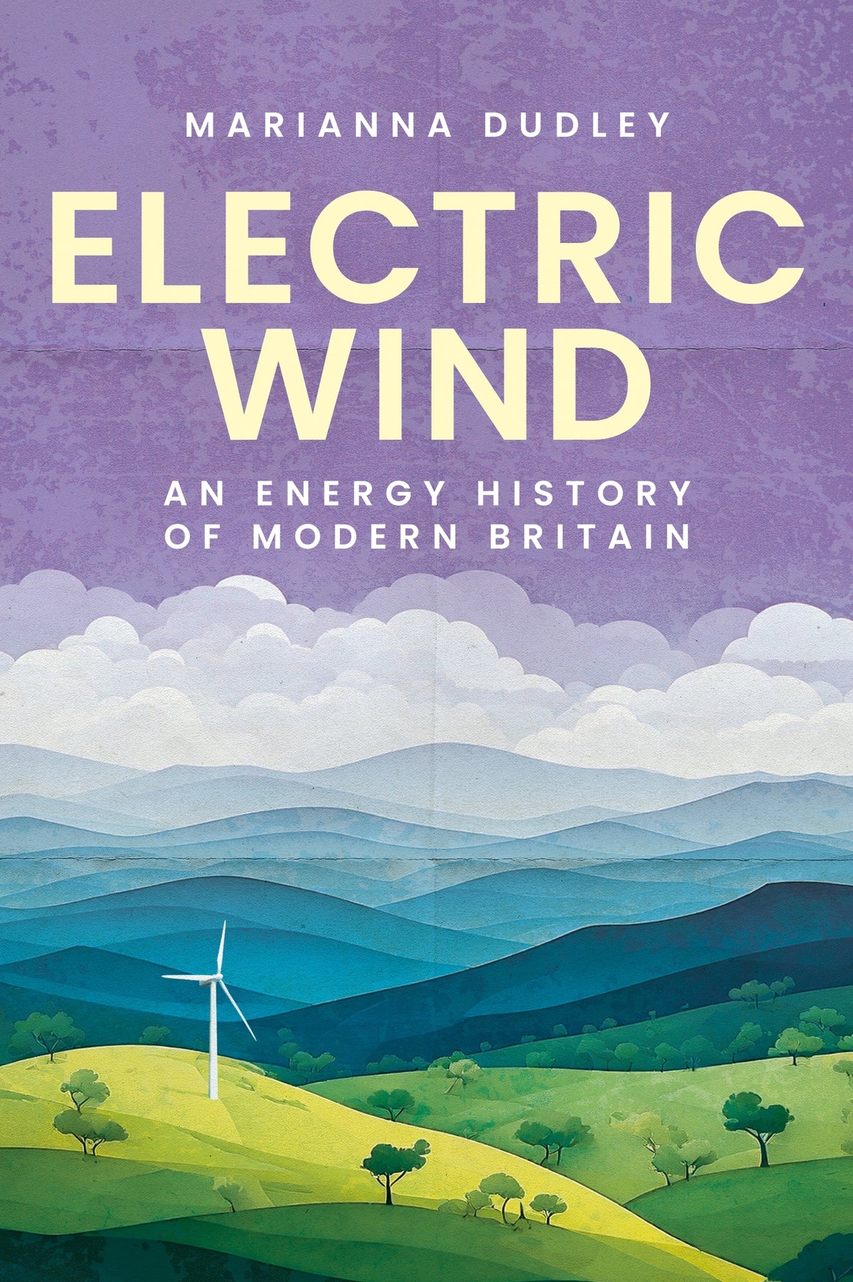 Cover image for Electric wind ISBN 9781526182944