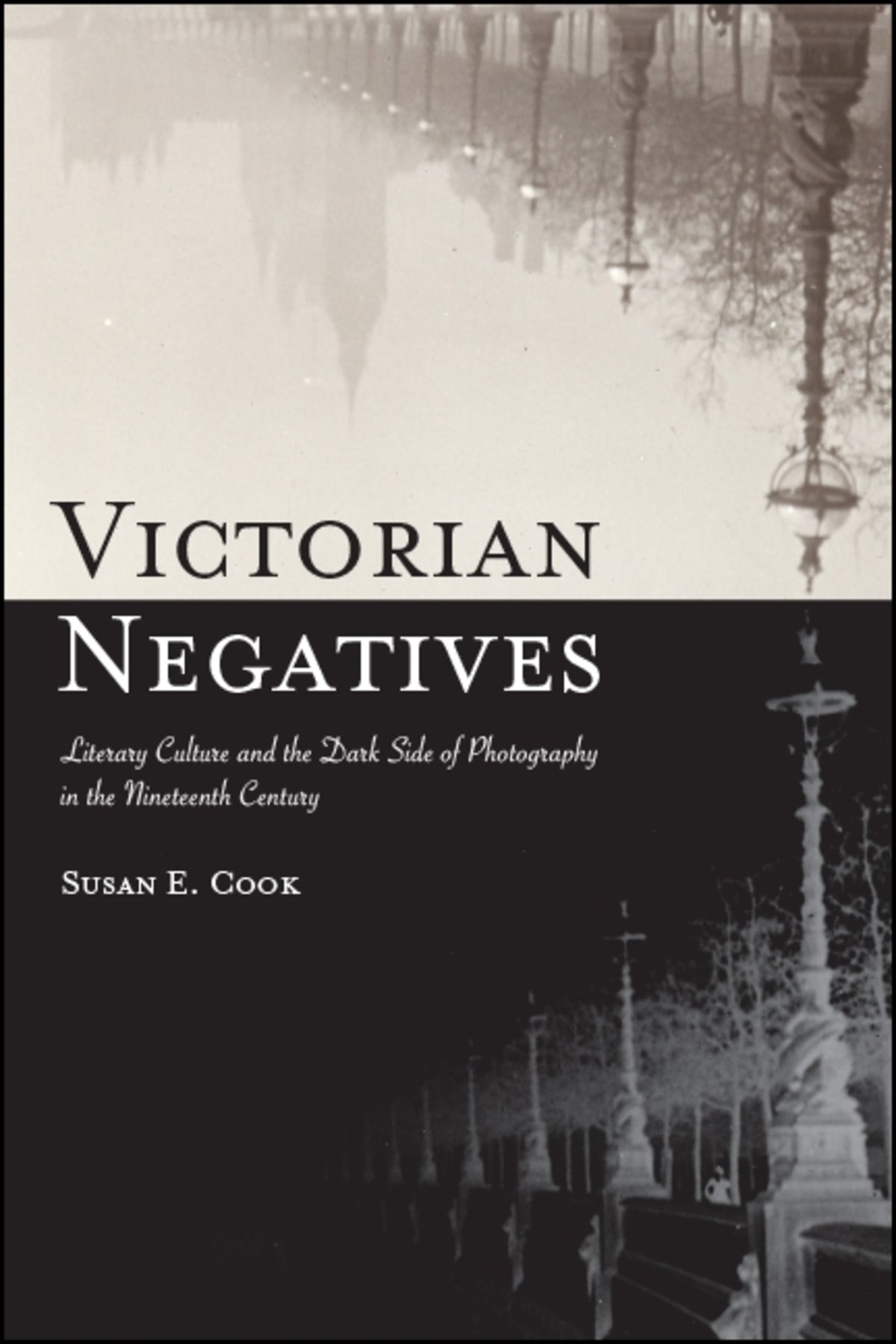 Cover image for Victorian Negatives ISBN 9781438475363