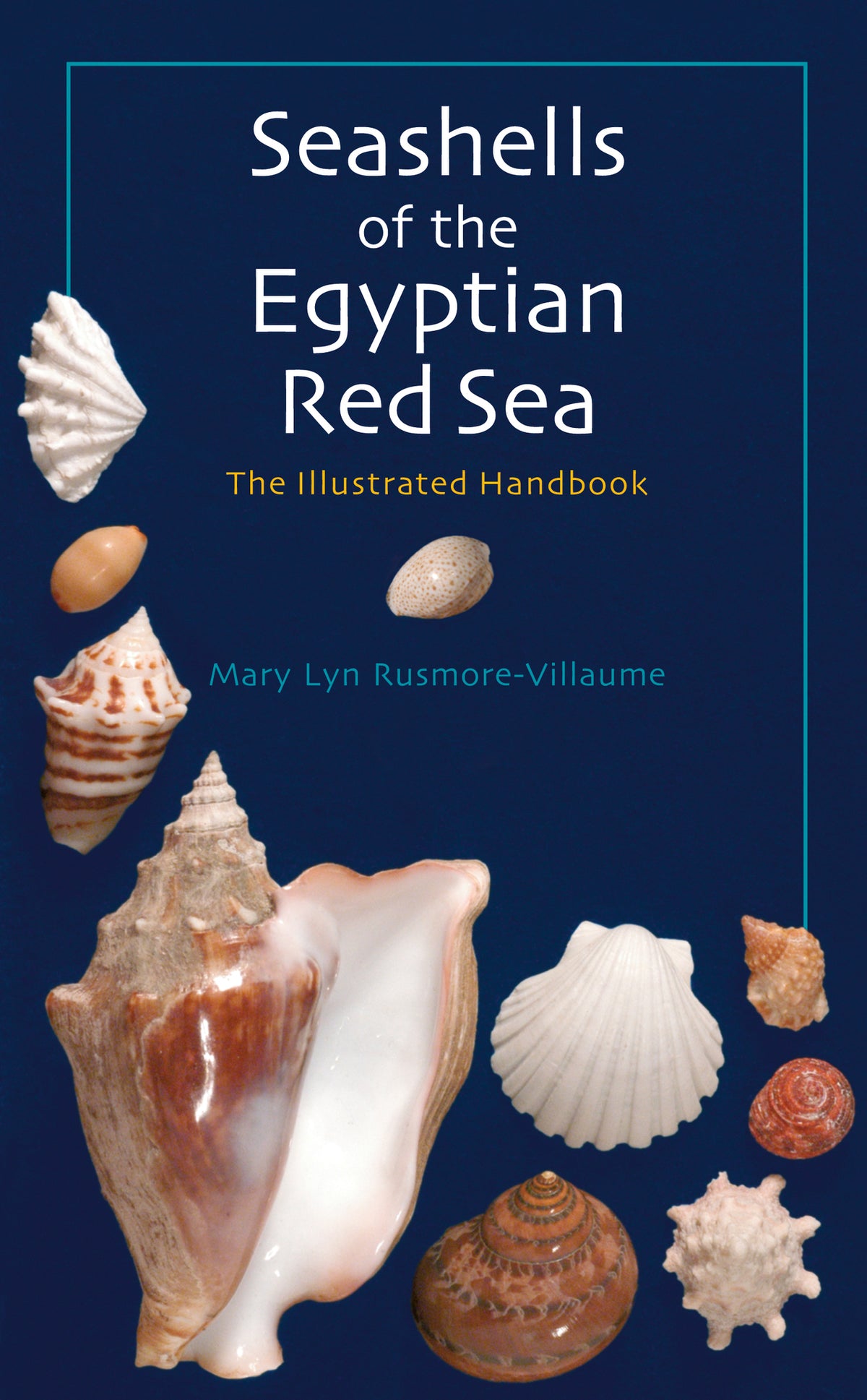 Cover image for Seashells of the Egyptian Red Sea ISBN 9789774160967