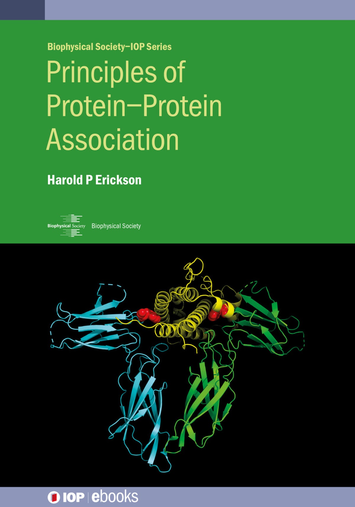 Cover image for Principles of Protein–Protein Association ISBN 9780750324120