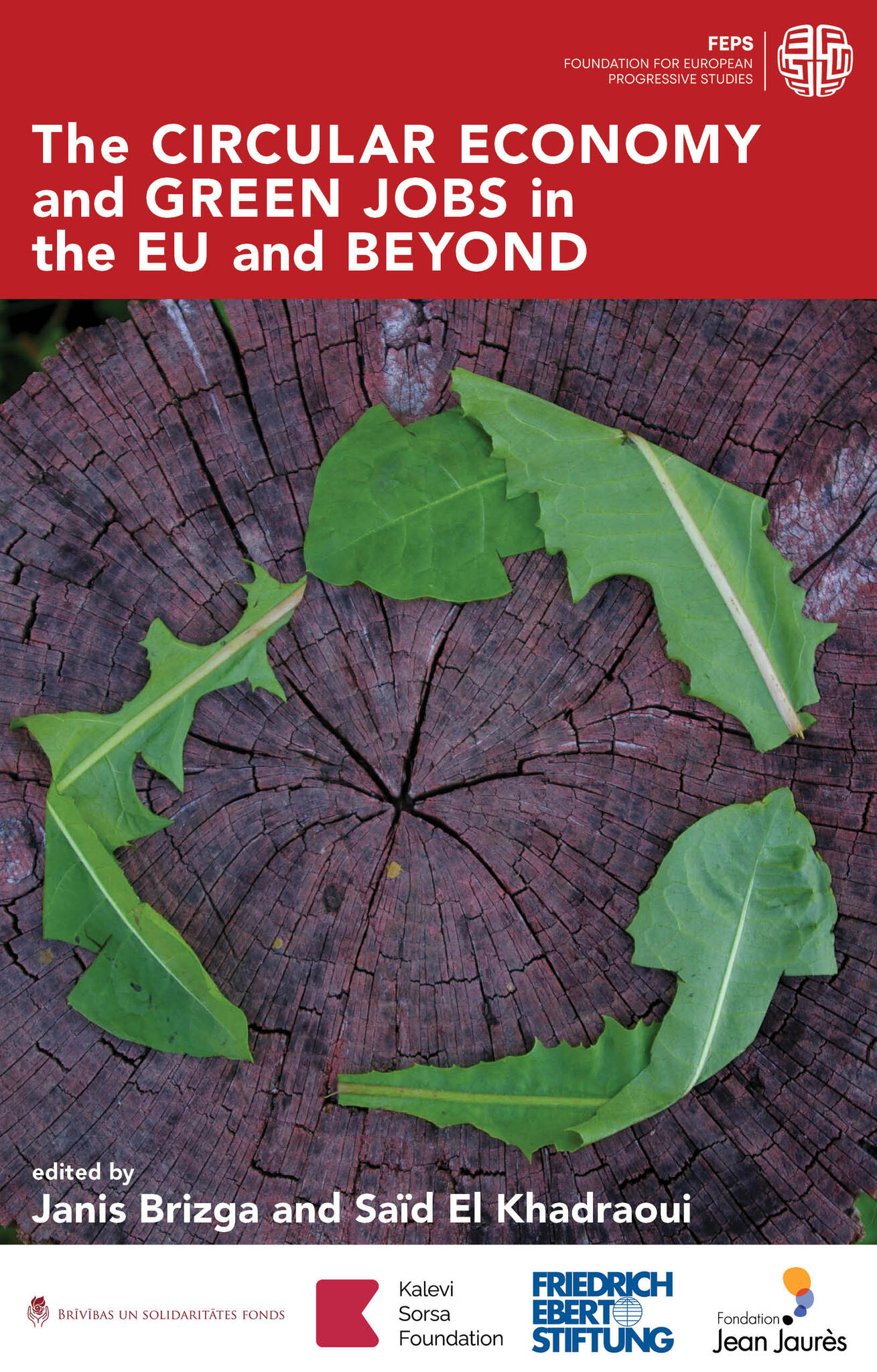 Cover image for The Circular Economy and Green Jobs in the EU and Beyond ISBN 9781913019549