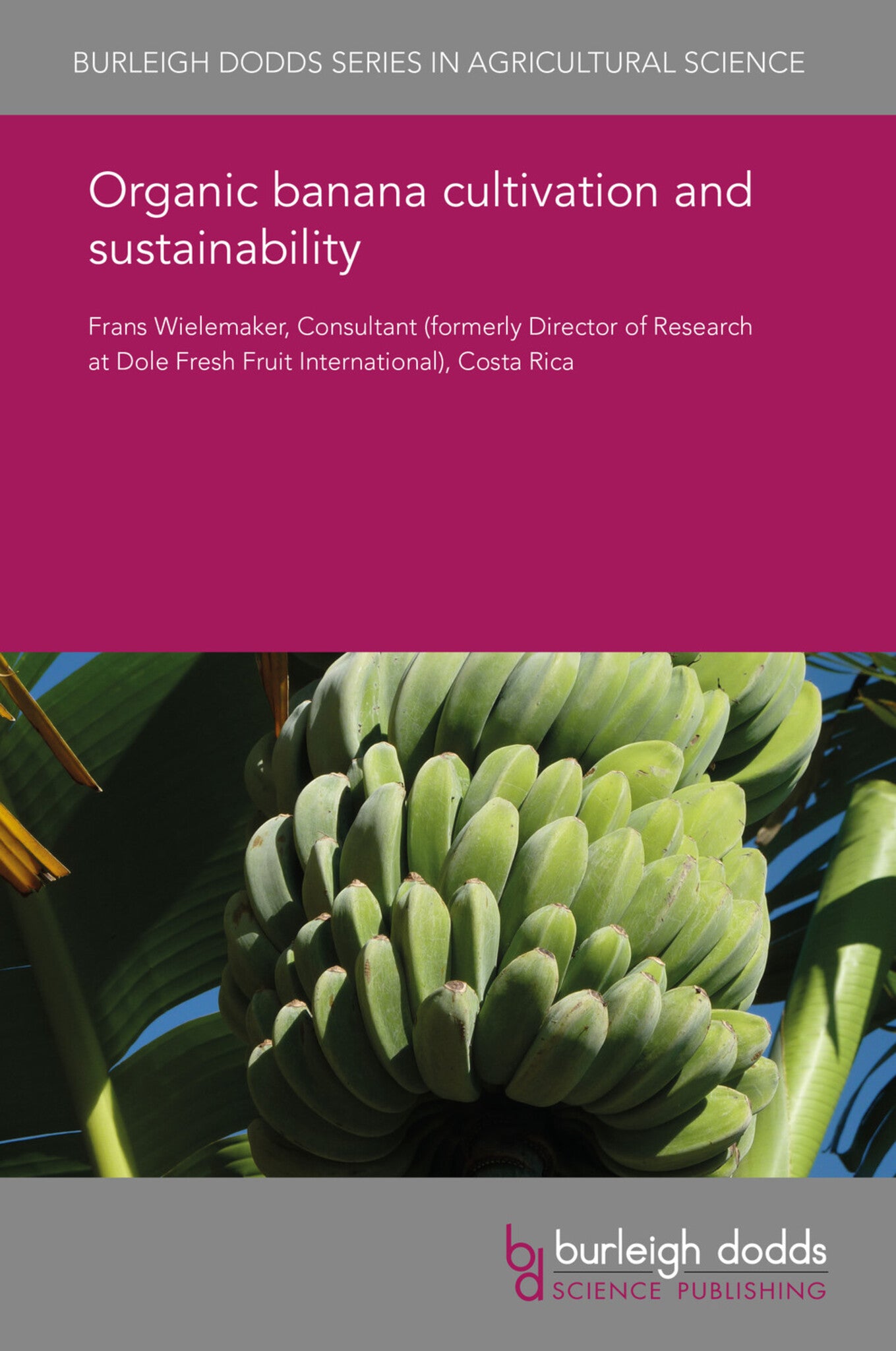 Organic banana cultivation and sustainability