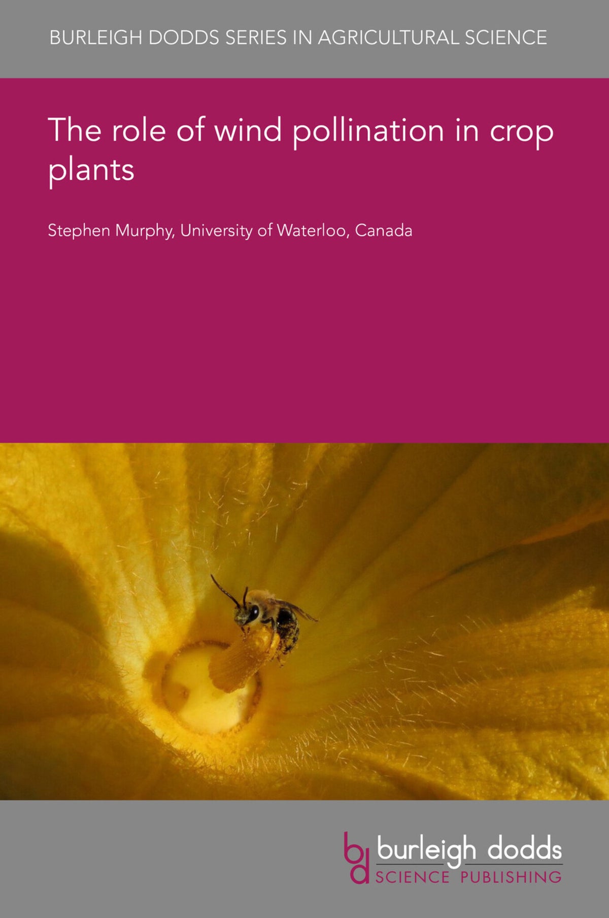 The role of wind pollination in crop plants