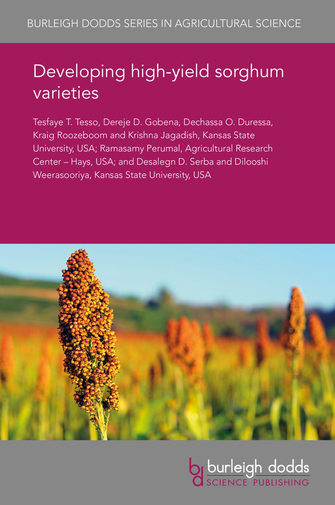 Harnessing genetic and genomic resources to transform the production and productivity of sorghum