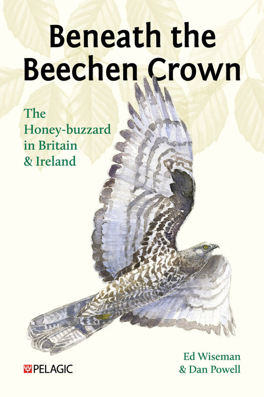 Beneath the Beechen Crown