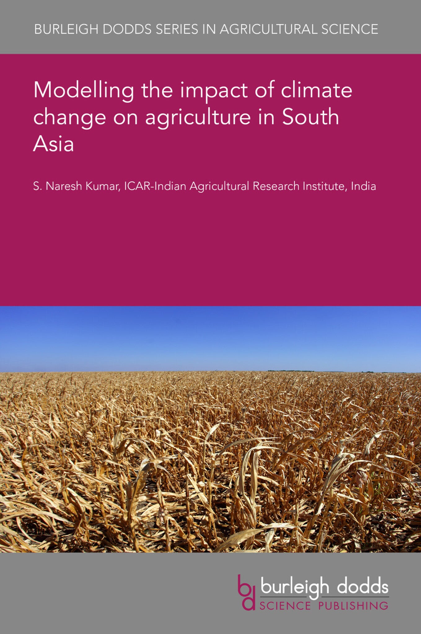 Modelling the impact of climate change on agriculture in South Asia