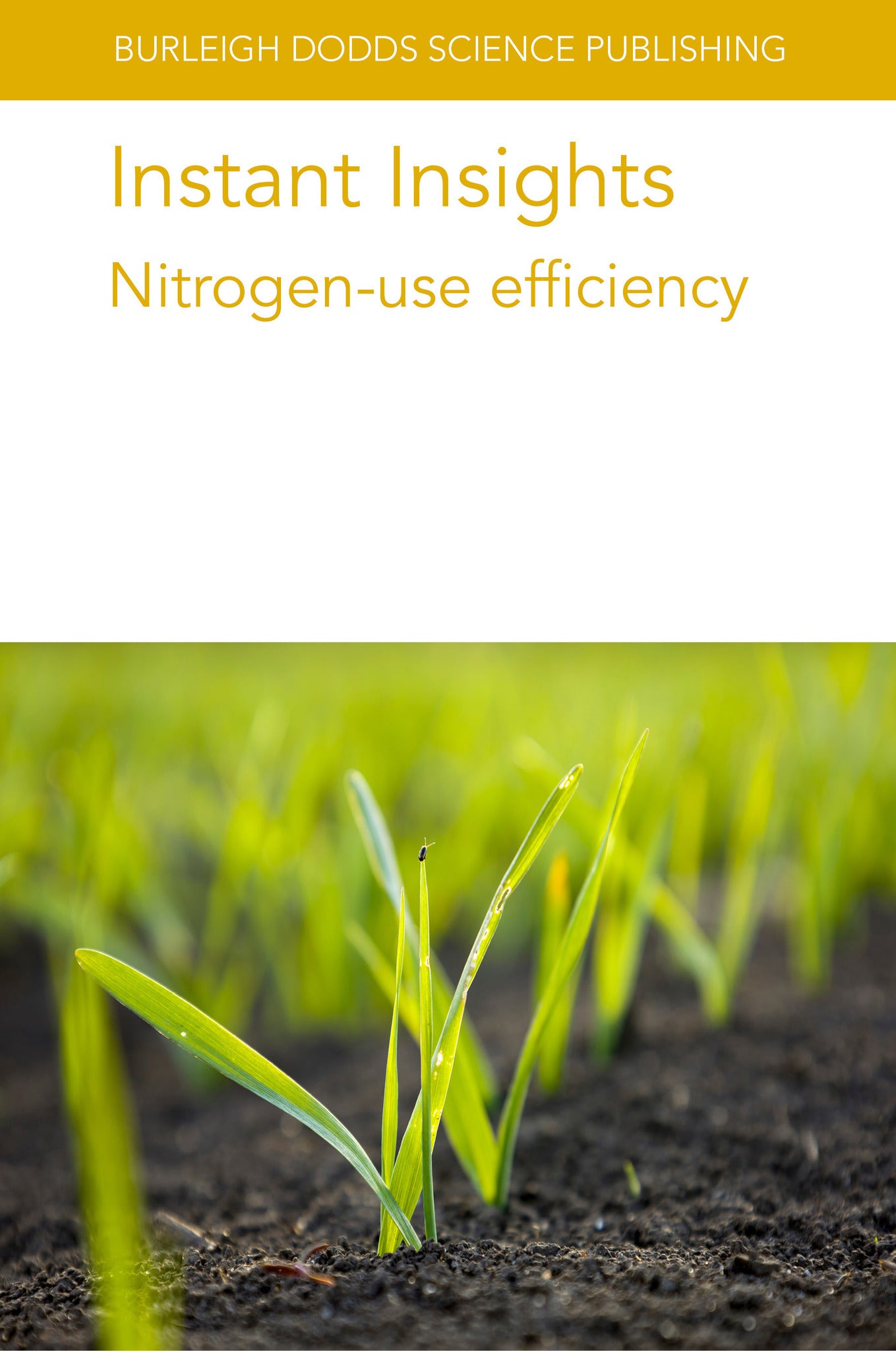 Instant Insights: Nitrogen-use efficiency