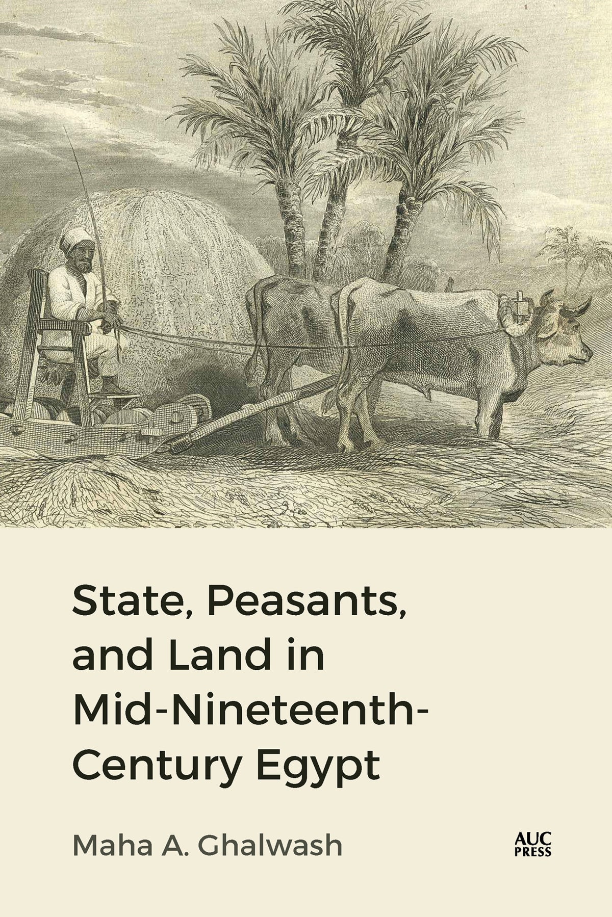 Cover image for State, Peasants, and Land in Mid-Nineteenth-Century Egypt ISBN 9781649032775