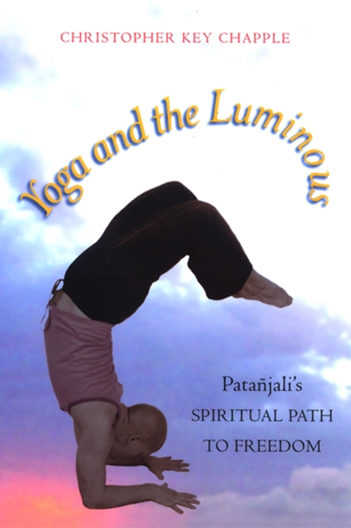 Cover image for Yoga and the Luminous ISBN 9780791474761