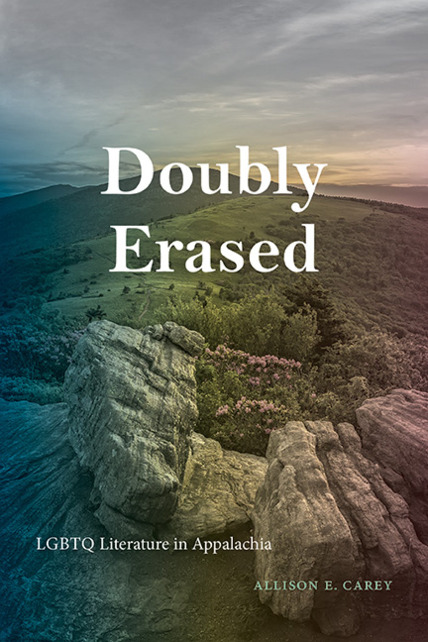 Cover image for Doubly Erased ISBN 9781438493565