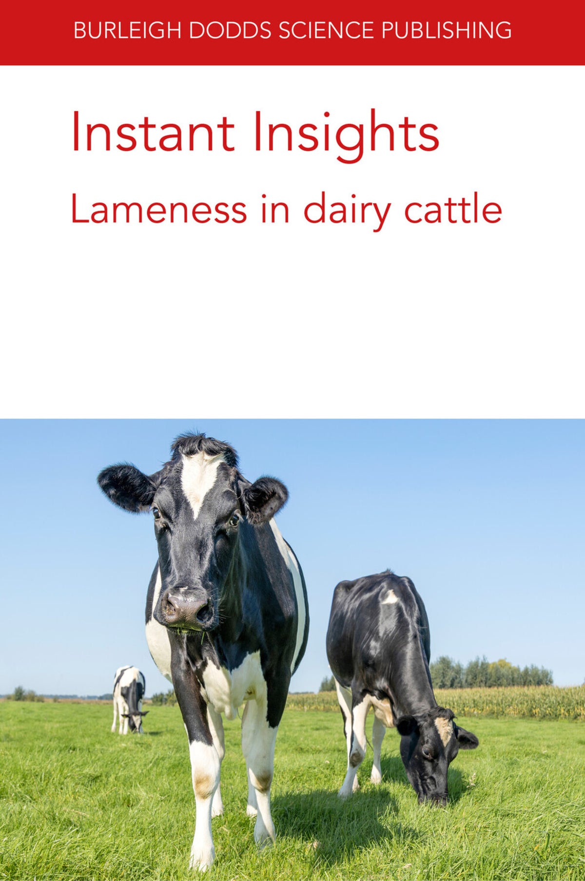 Cover image for Instant Insights: Lameness in dairy cattle ISBN 9781801460828