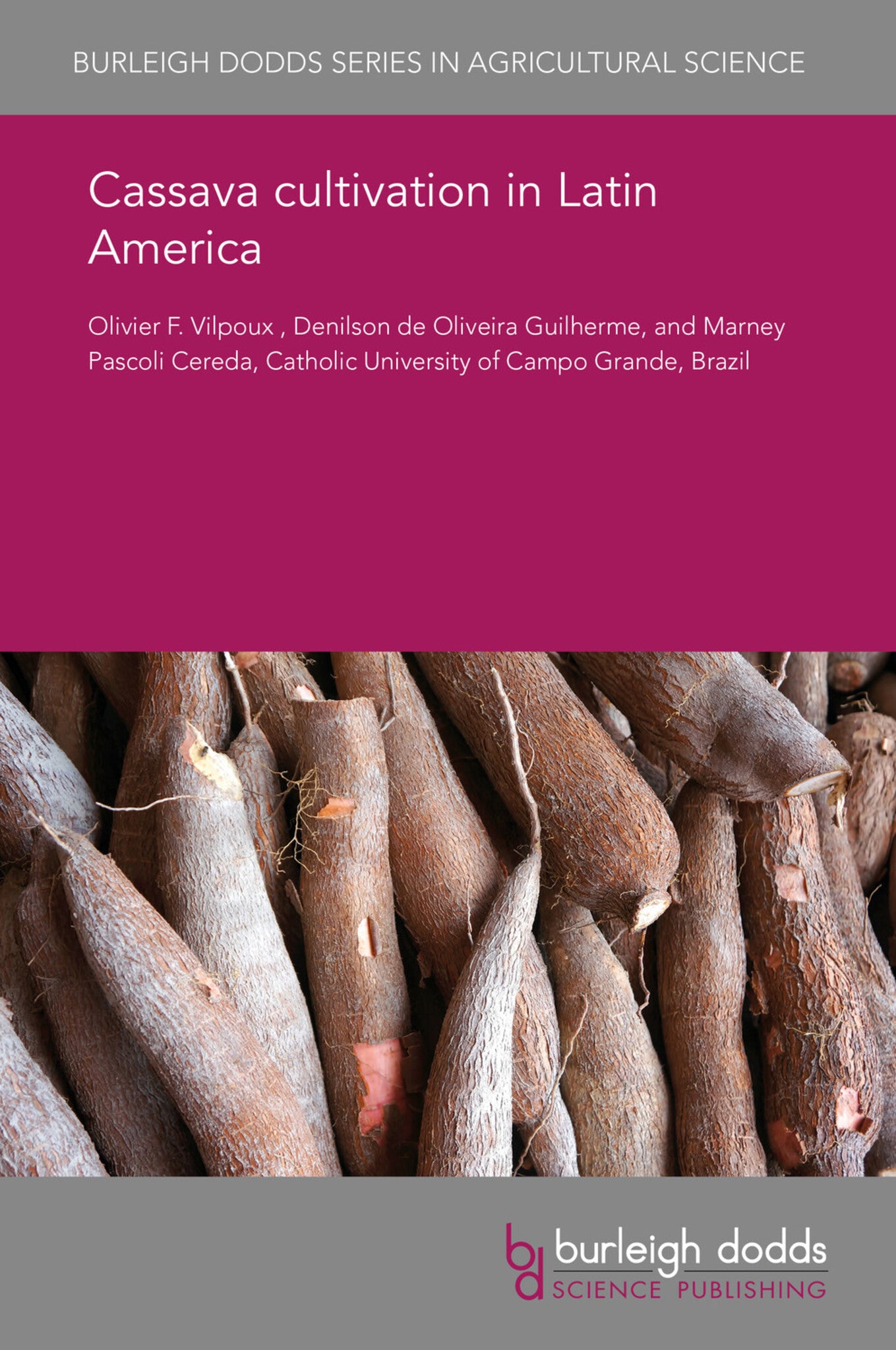 Cassava cultivation in Latin America