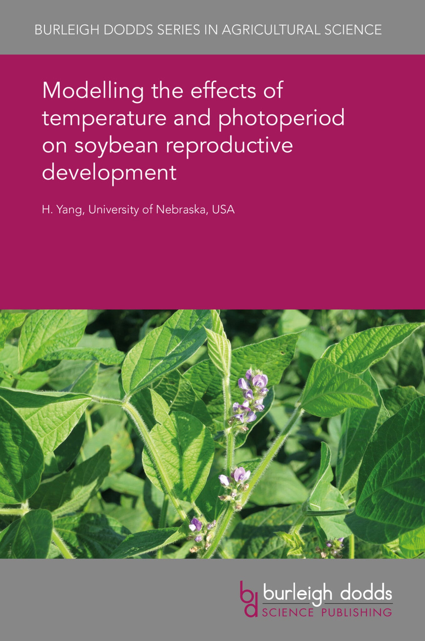 Modelling the effects of temperature and photoperiod on soybean reproductive development