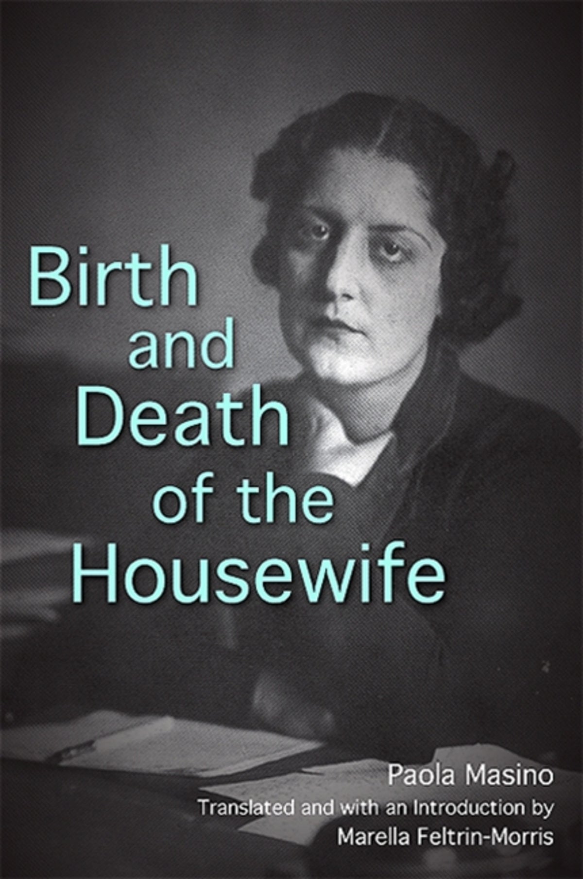 Cover image for Birth and Death of the Housewife ISBN 9781438428086