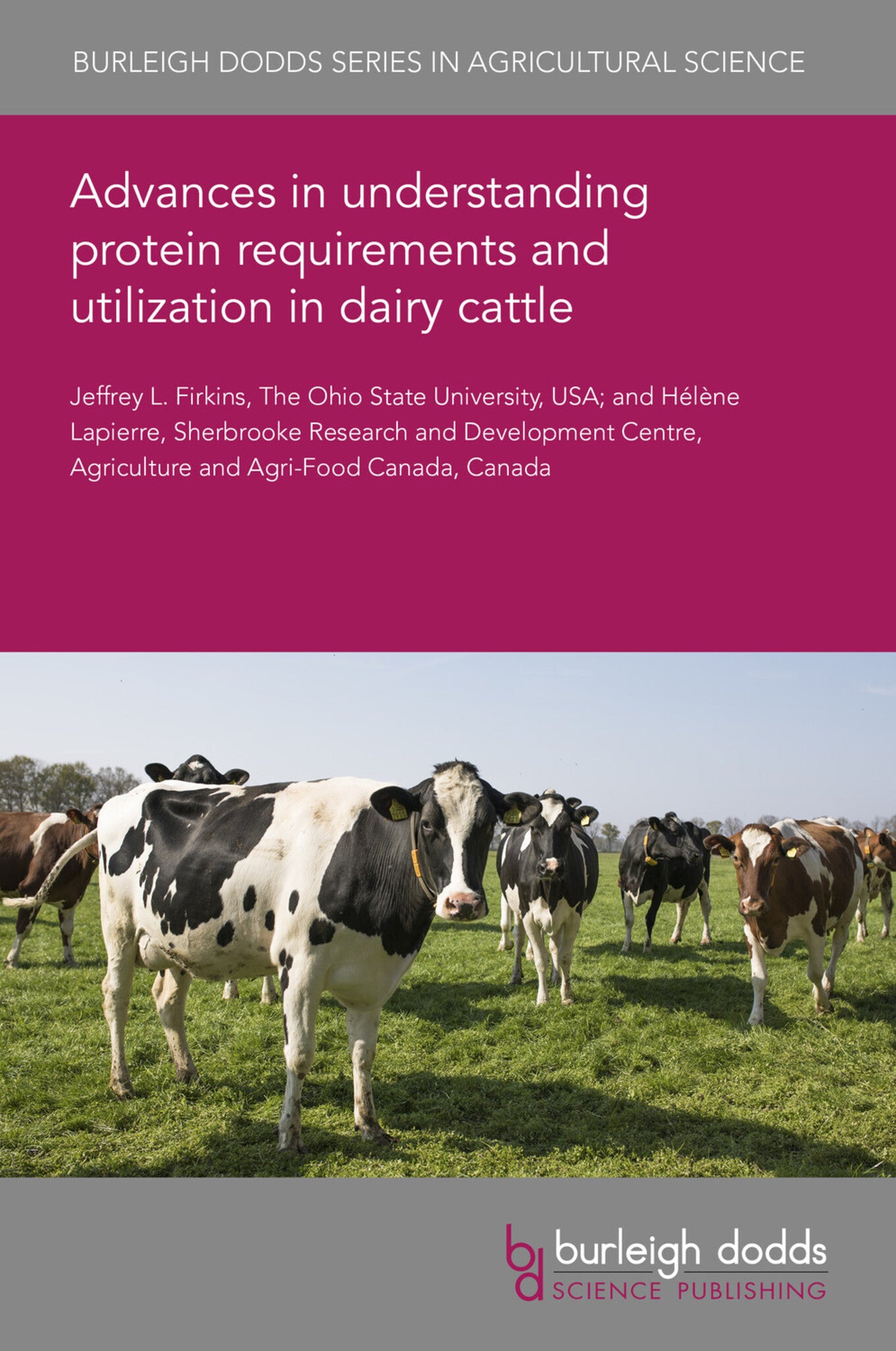 Advances in understanding protein requirements and utilization in dairy cattle