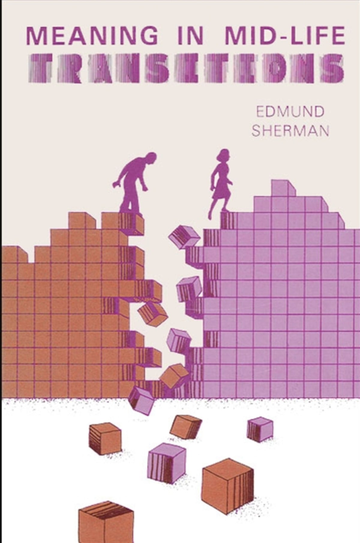 Cover image for Meaning in Mid-Life Transitions ISBN 9780887063848
