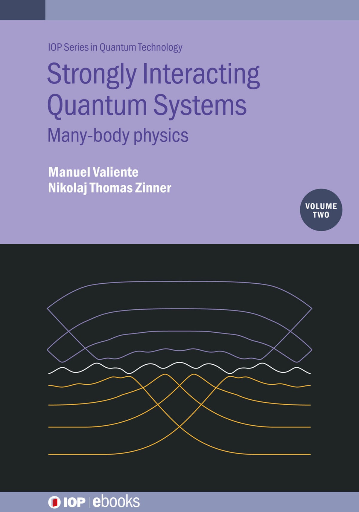 Cover image for Strongly Interacting Quantum Systems, Volume 2 ISBN 9780750330923