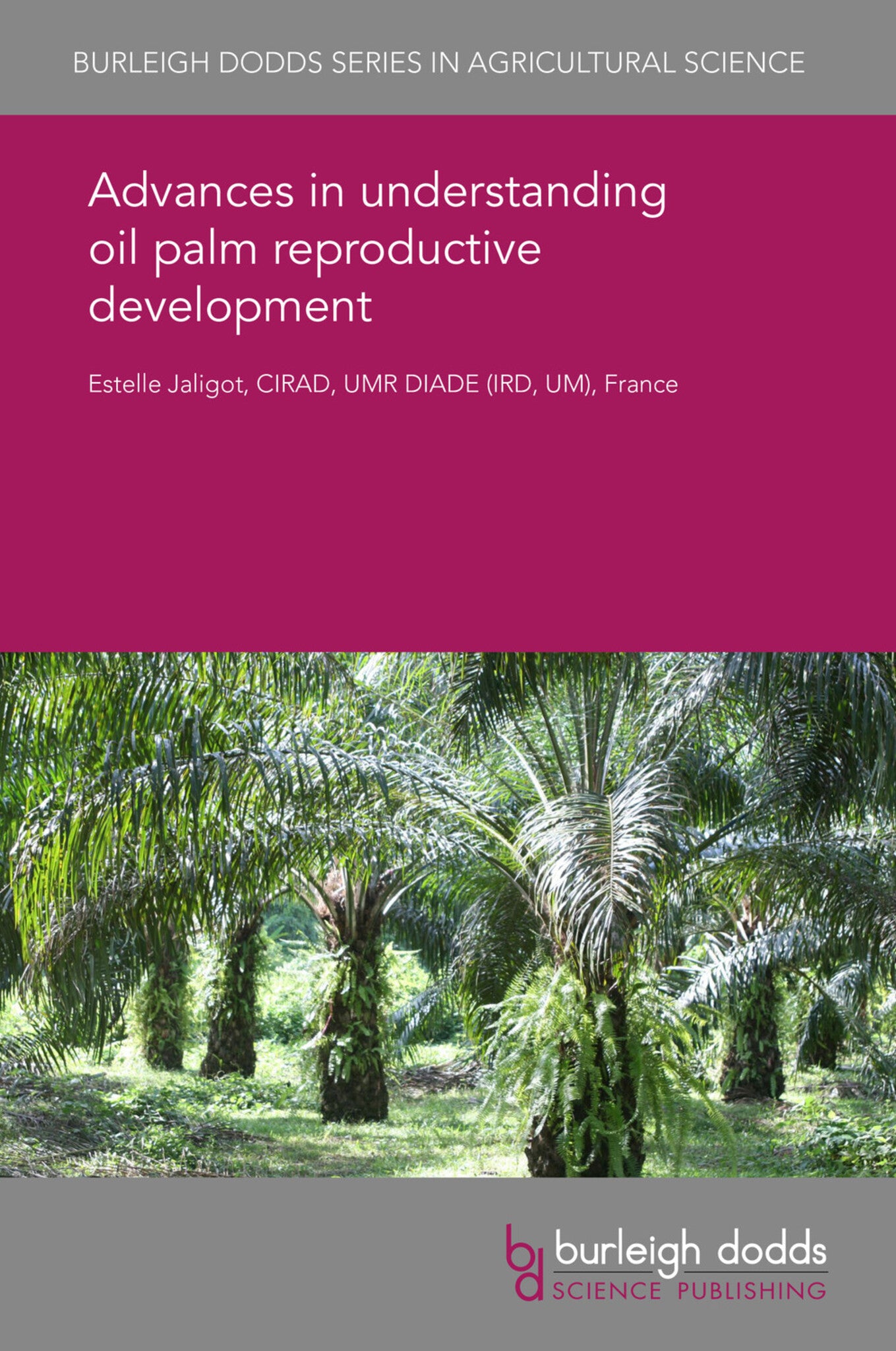 Advances in understanding oil palm reproductive development