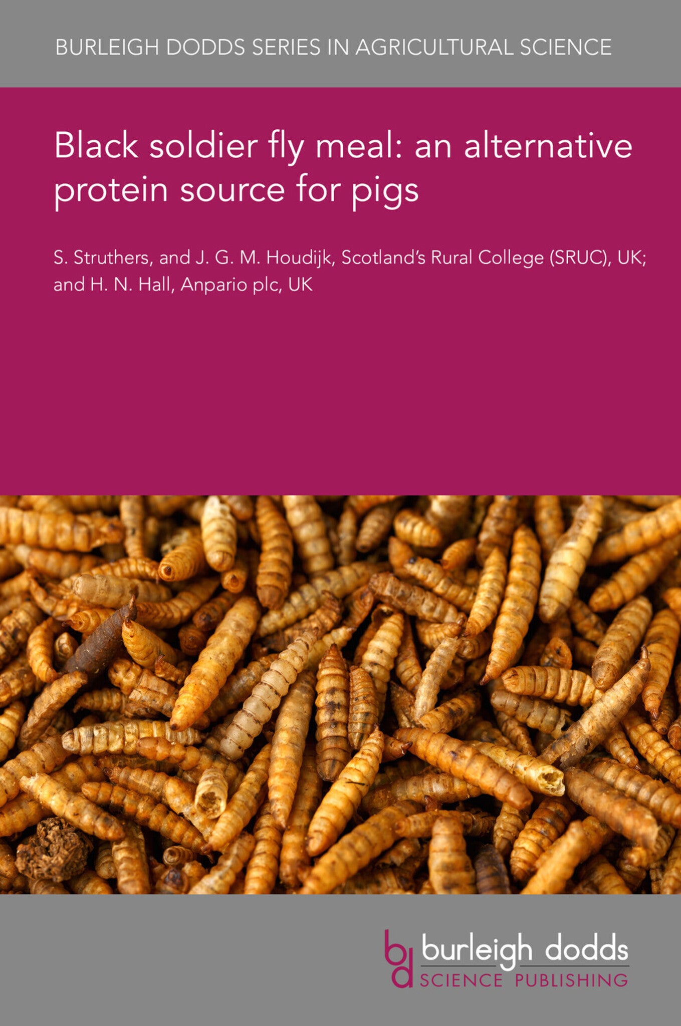 Black soldier fly meal: an alternative protein source for pigs