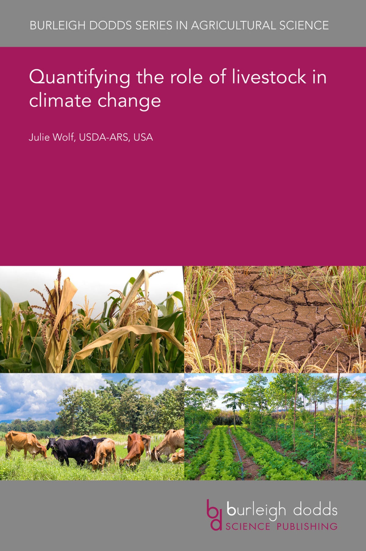 Cover image for Quantifying the role of livestock in climate change ISBN 9781786767394