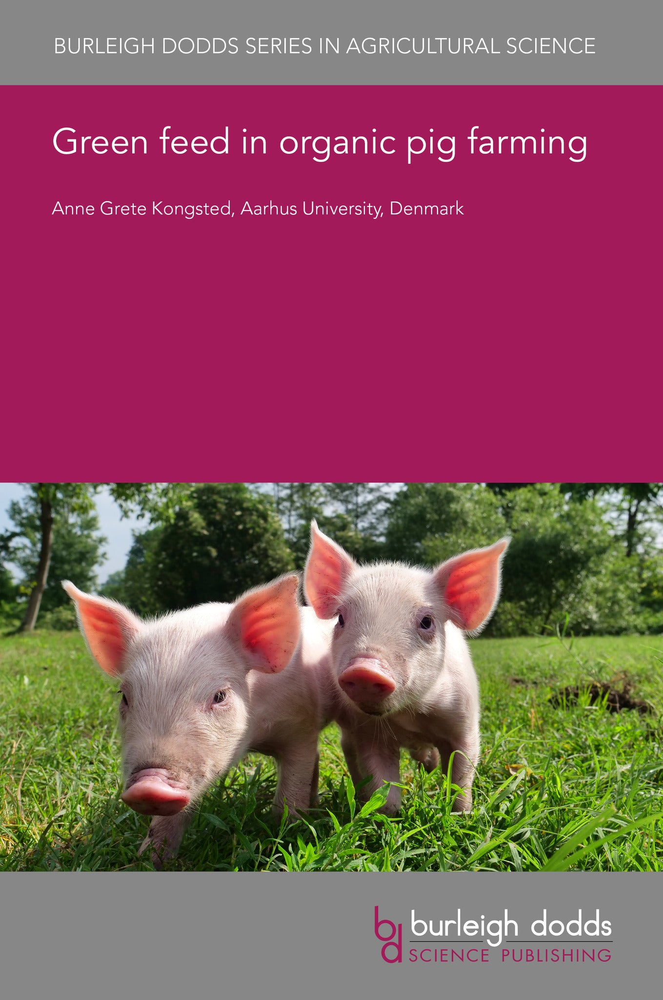 Green feed in organic pig farming