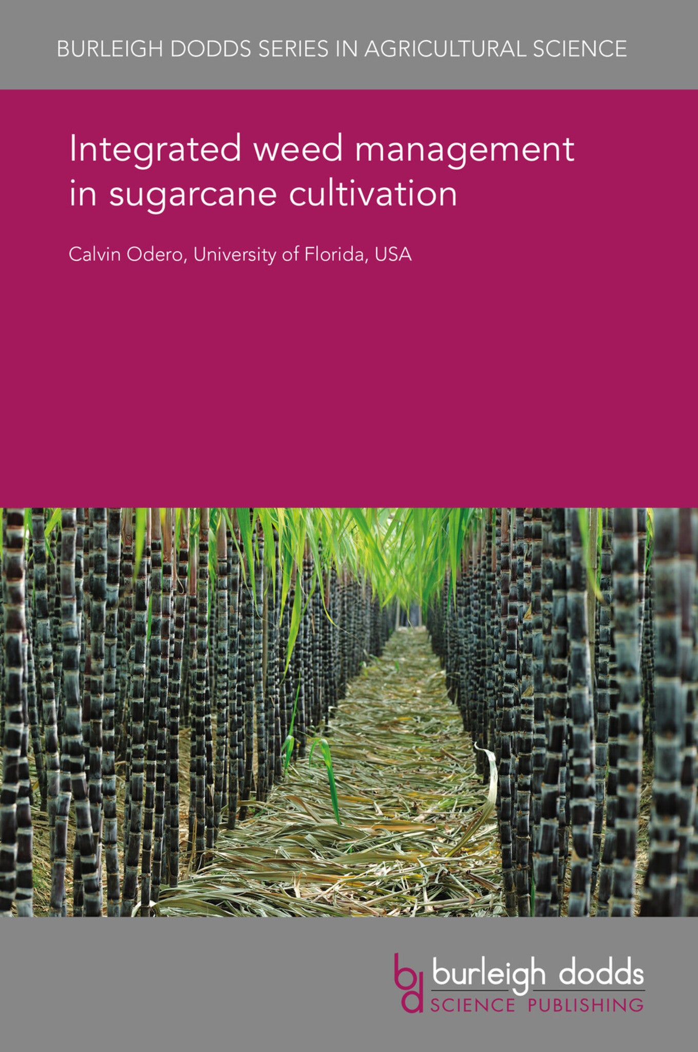 Integrated weed management in sugarcane cultivation