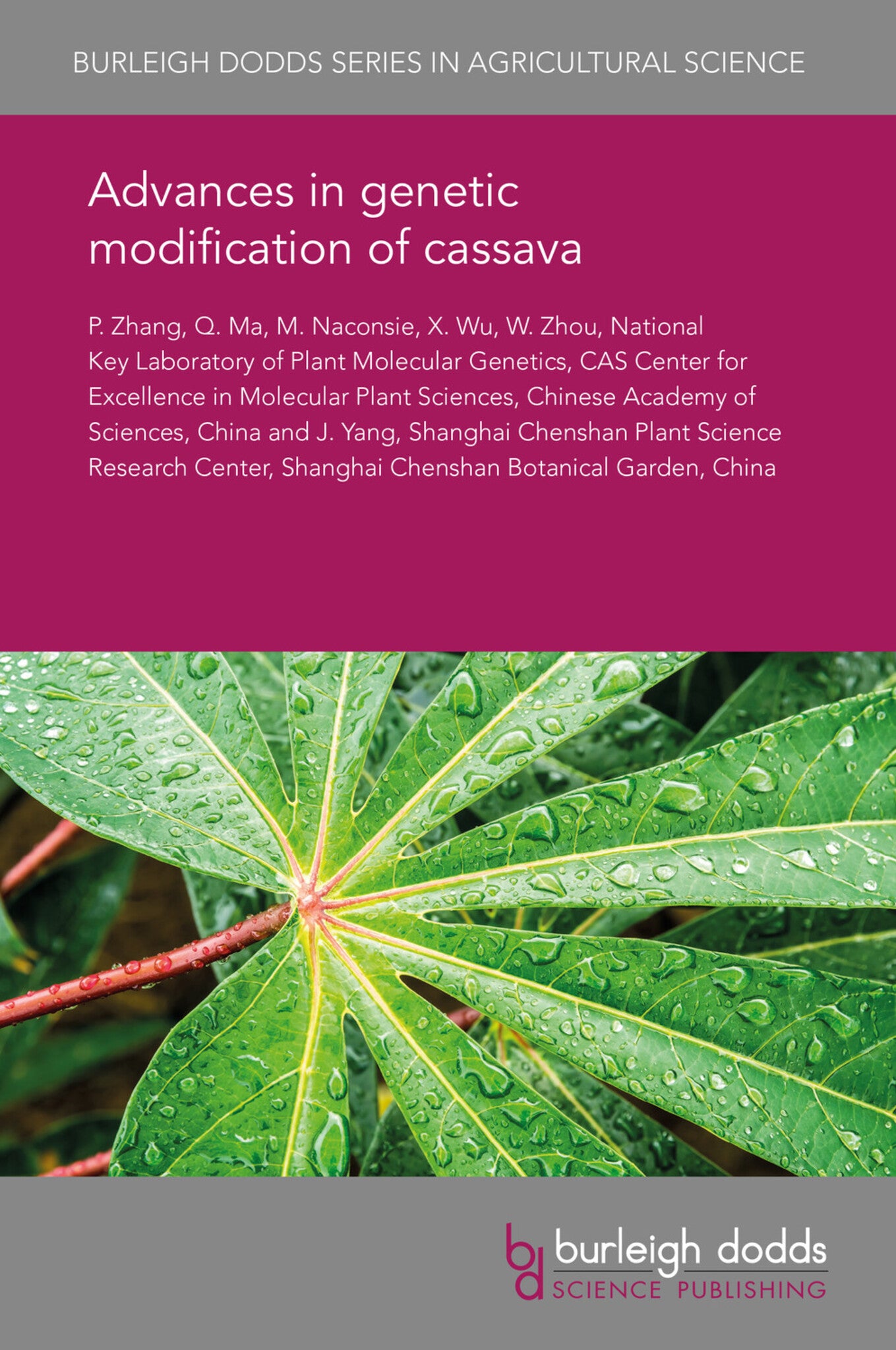 Advances in genetic modification of cassava