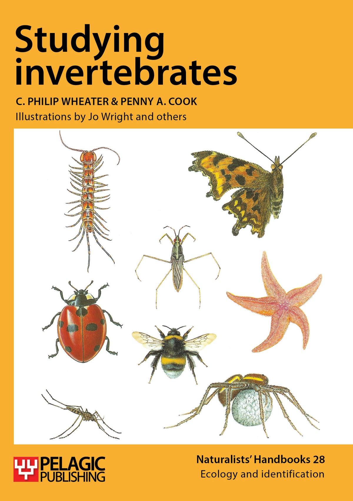 Cover image for Studying Invertebrates ISBN 9781784270827