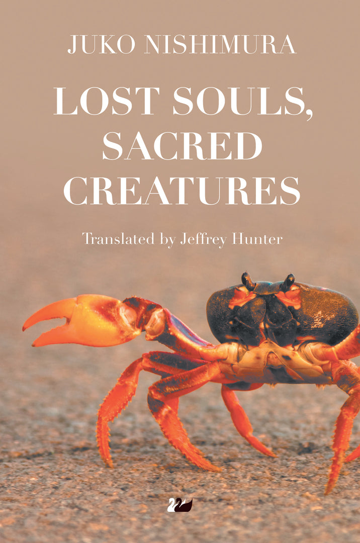Cover image for Lost Souls, Sacred Creatures ISBN 9780857281289