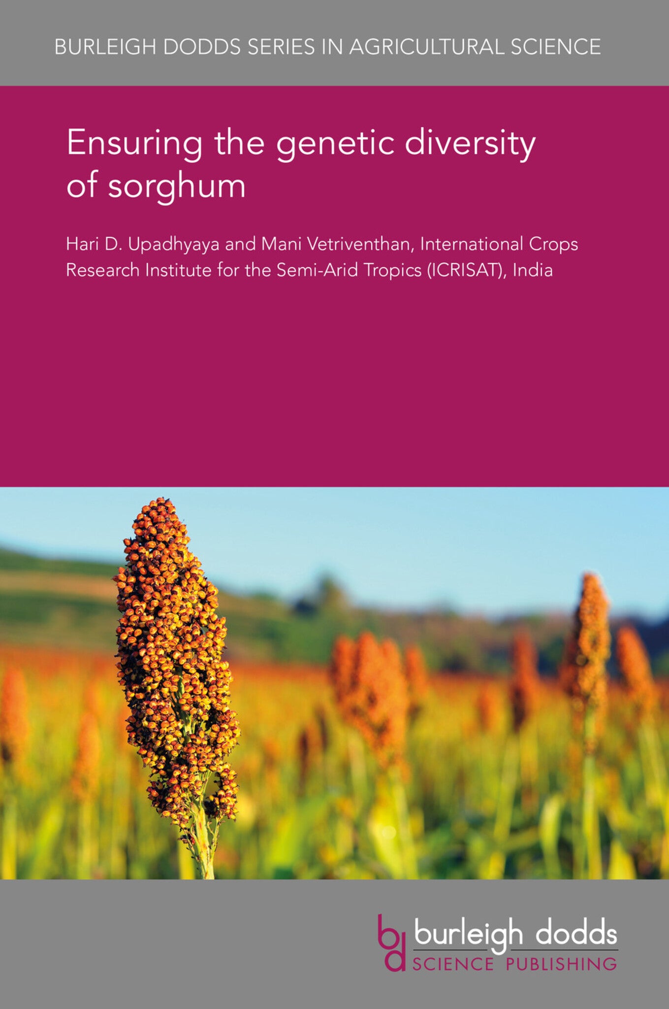 Ensuring the genetic diversity of sorghum