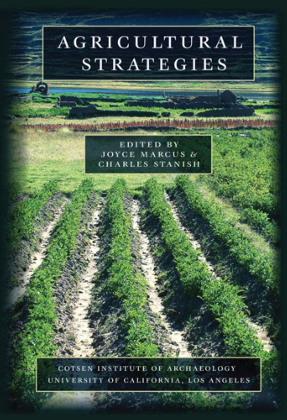 Cover image for Agricultural Strategies ISBN 9781931745246