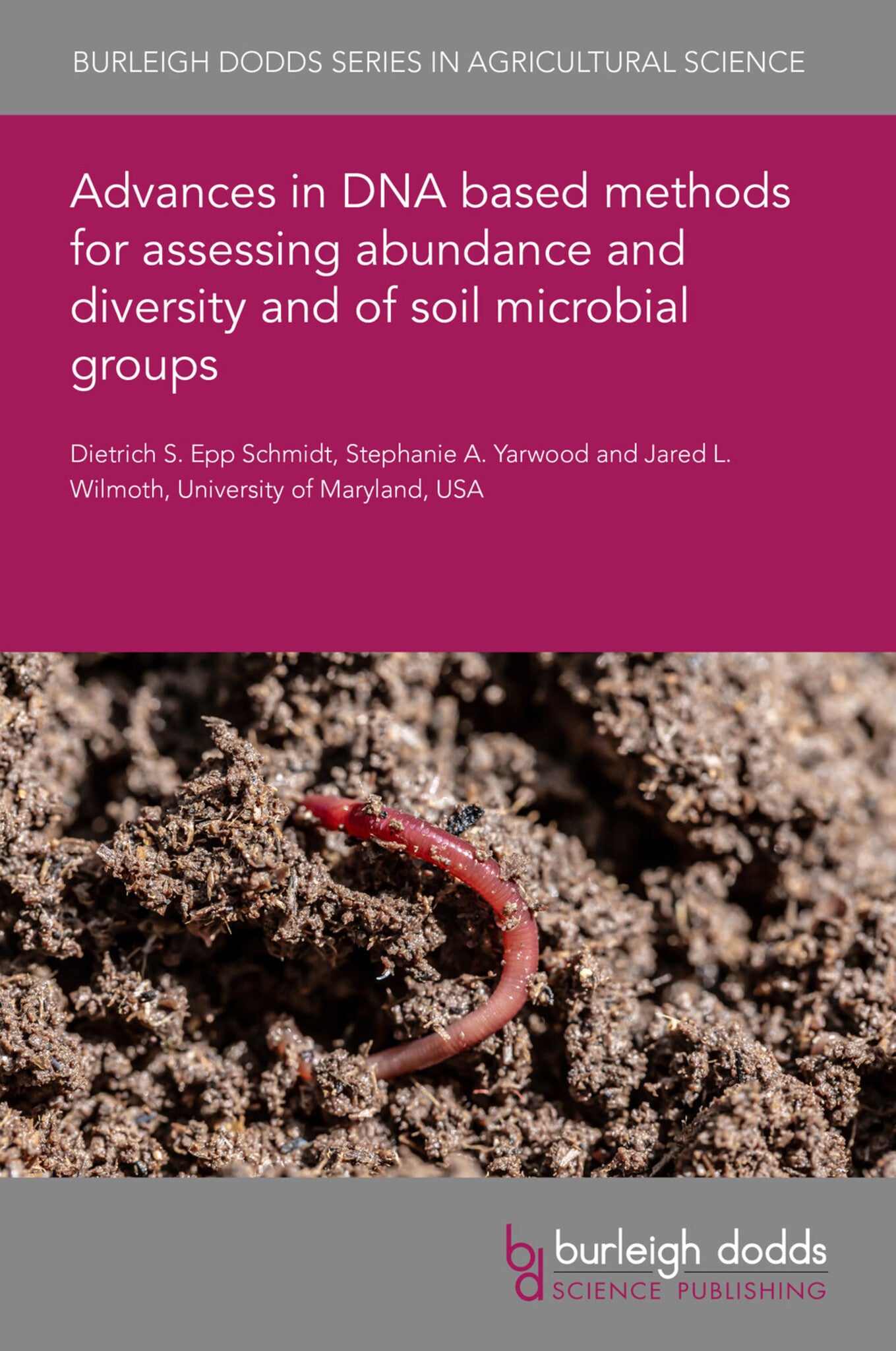 Advances in DNA based methods for assessing abundance and diversity and of soil microbial groups