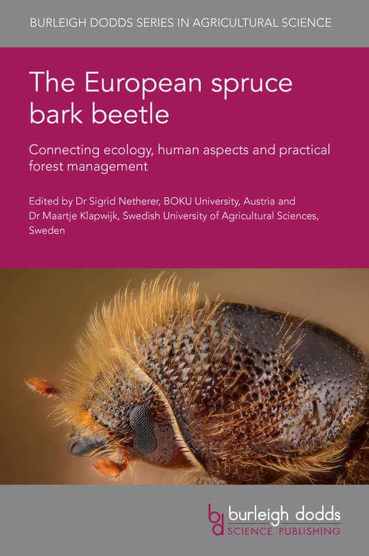 The European spruce bark beetle