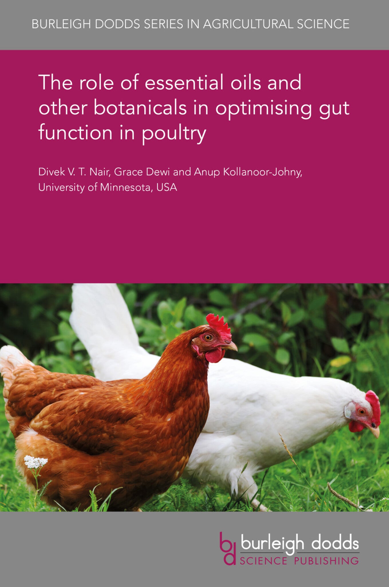 The role of essential oils and other botanicals in optimizing gut function in poultry