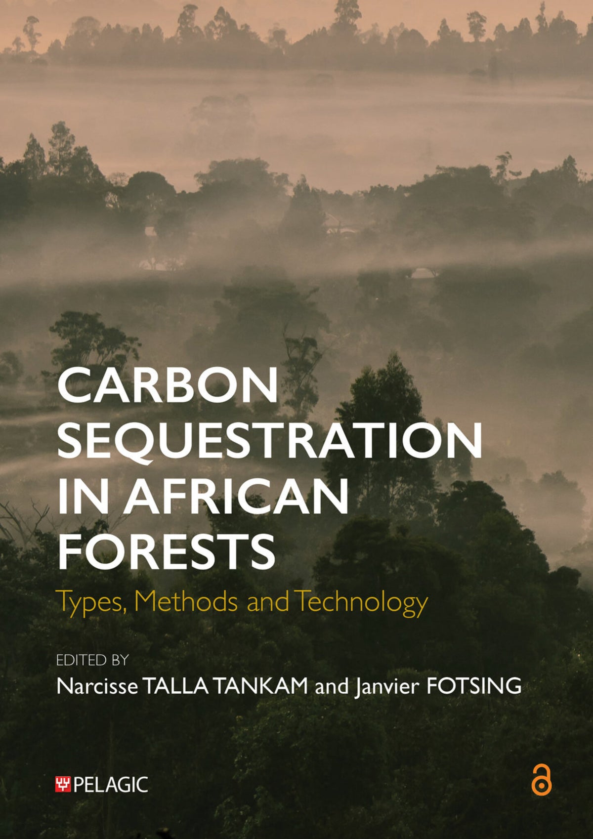 Cover image for Carbon Sequestration in African Forests ISBN 9781784276164