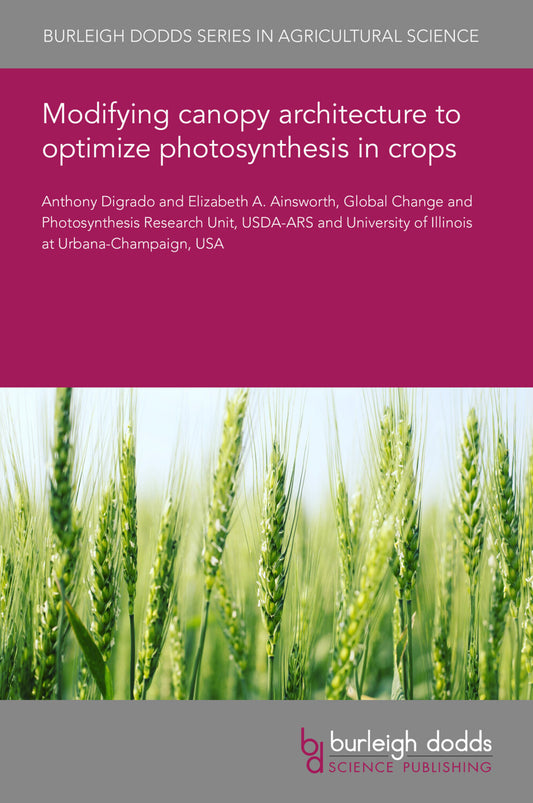 Modifying canopy architecture to optimize photosynthesis in crops