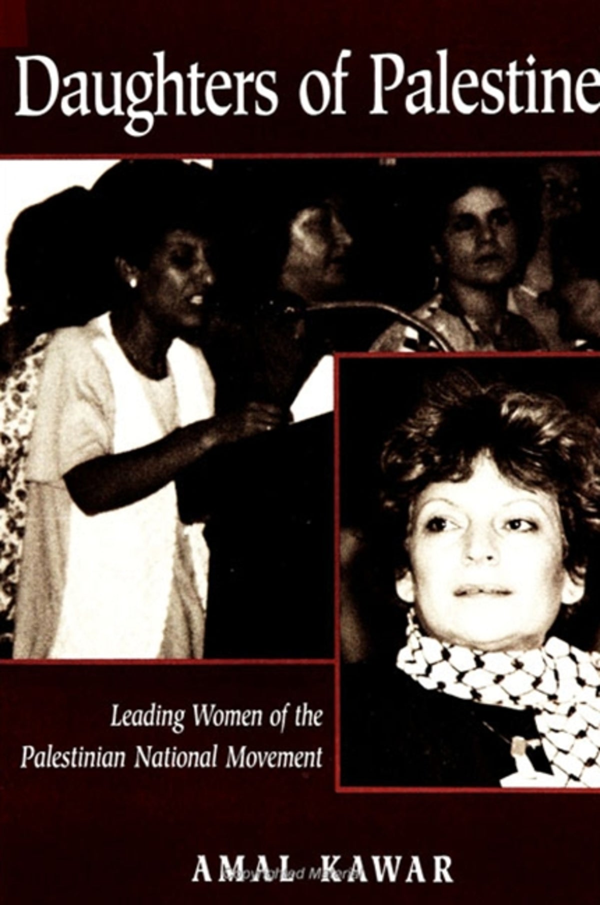 Cover image for Daughters of Palestine ISBN 9780791428467