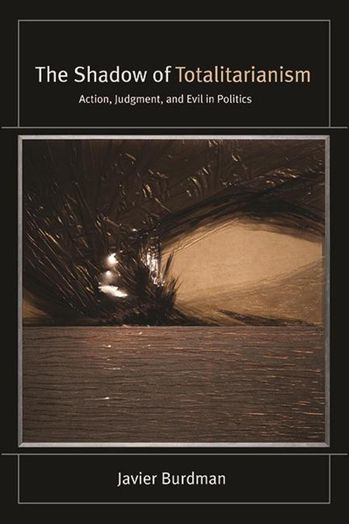 Cover image for The Shadow of Totalitarianism ISBN 9781438490007