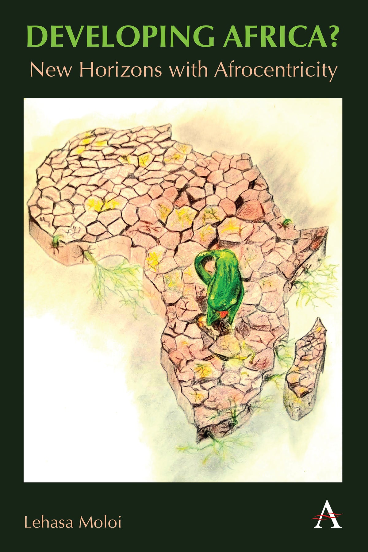 Cover image for Developing Africa? ISBN 9781839990847