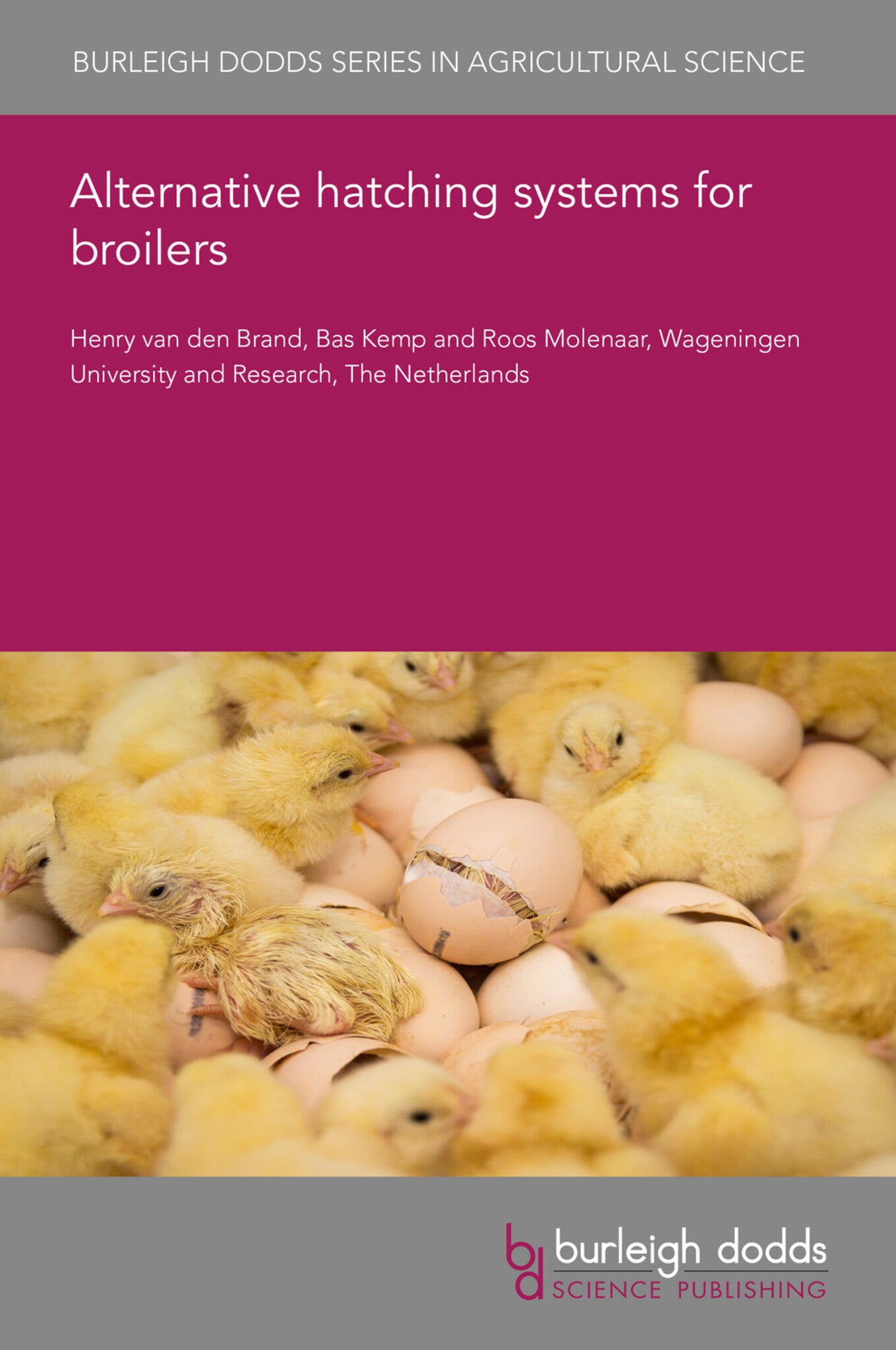 Alternative hatching systems for broilers