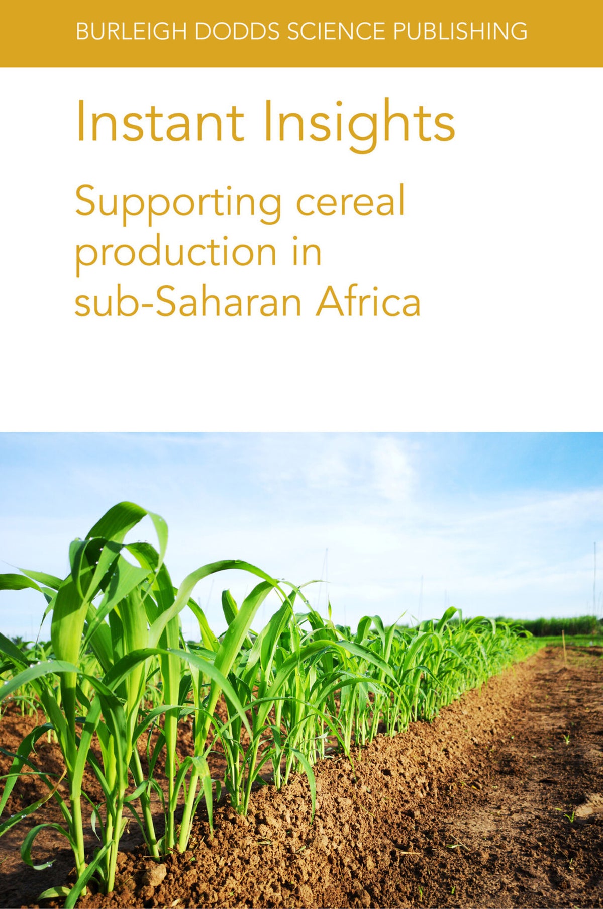 Cover image for Instant Insights: Supporting cereal production in sub-Saharan Africa ISBN 9781801460798