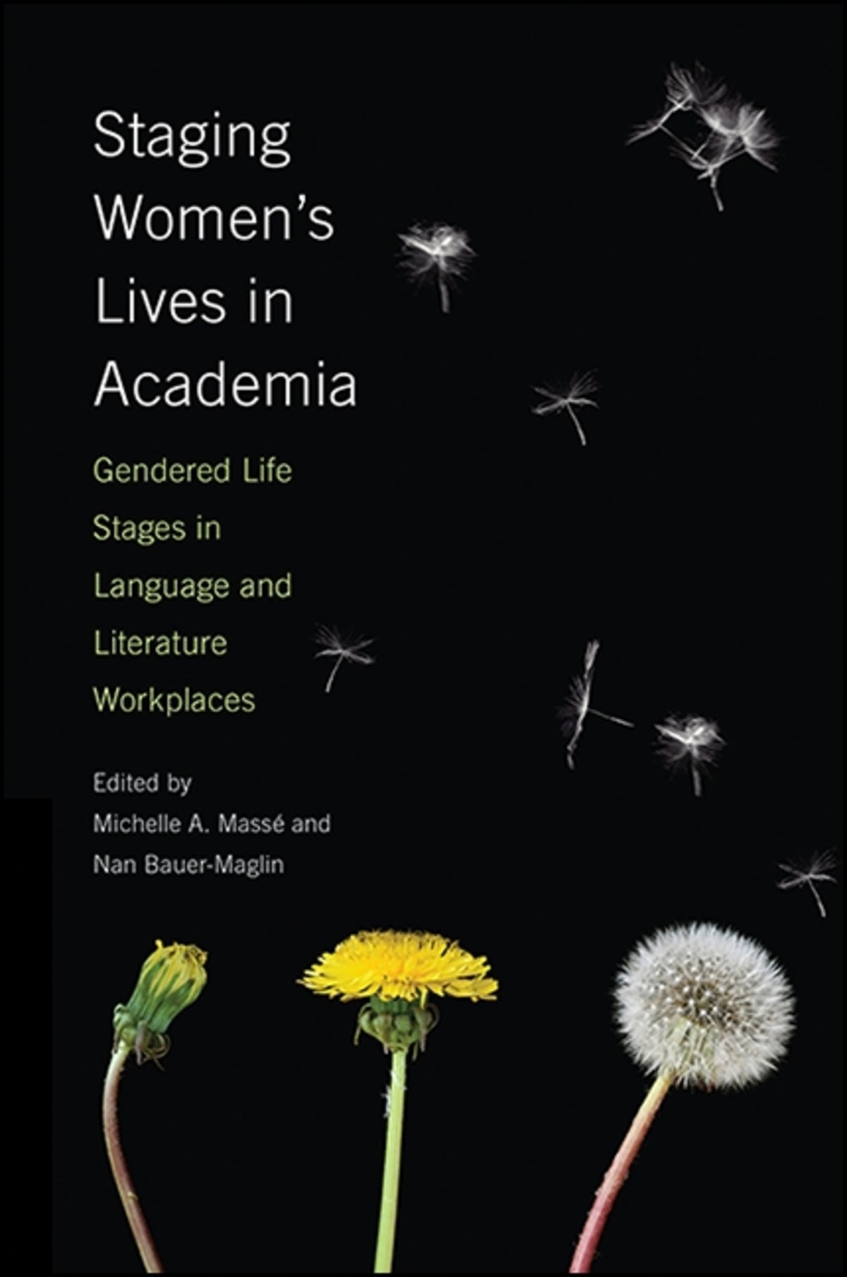 Cover image for Staging Women's Lives in Academia ISBN 9781438464213