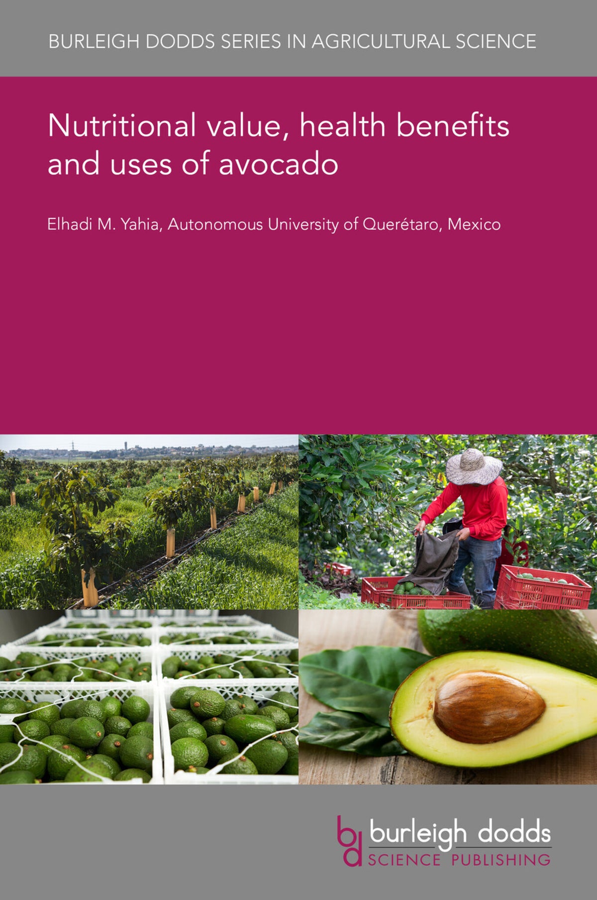 Nutritional value, health benefits and uses of avocado