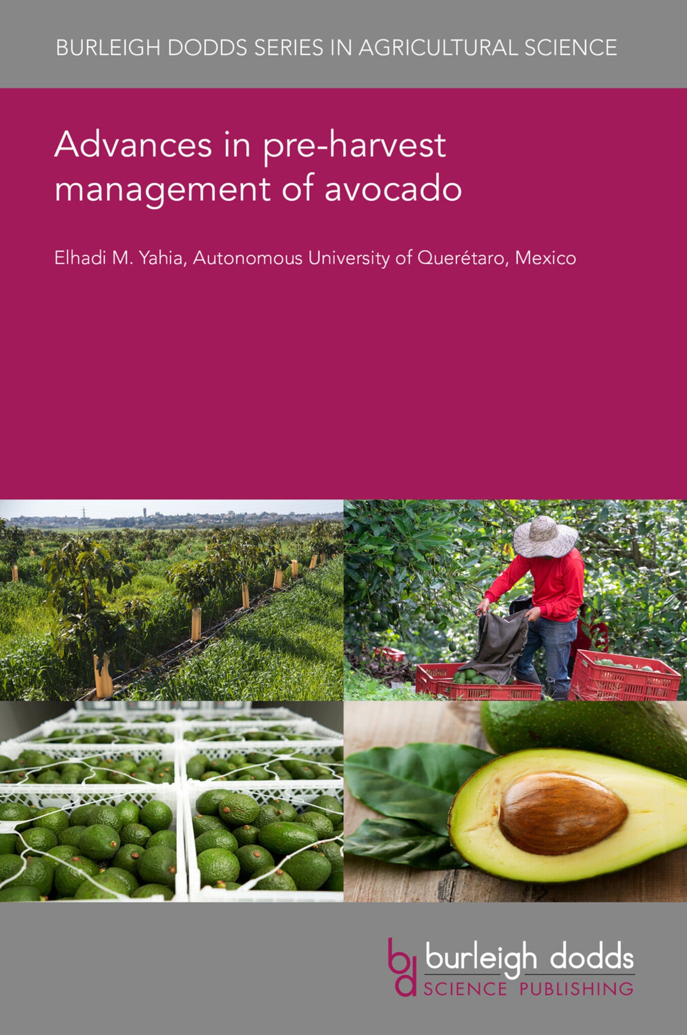 Advances in pre-harvest management of avocado